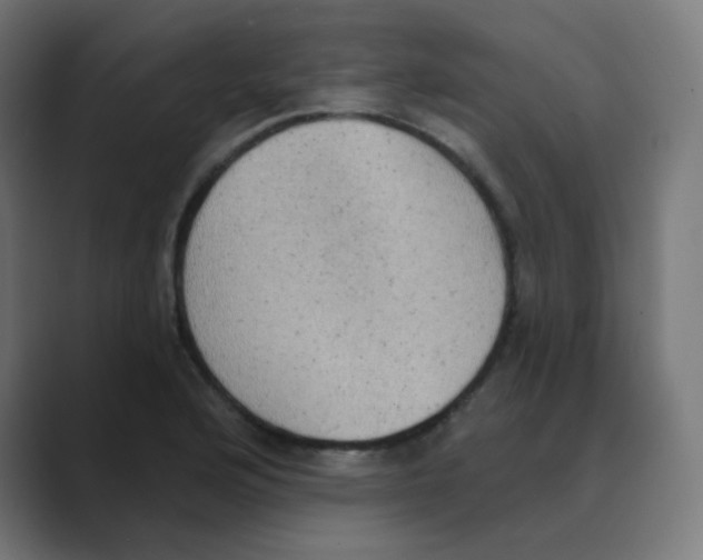 X0000088491176200706191419