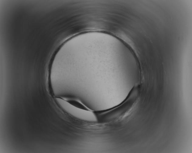 X0000088491179200706191419
