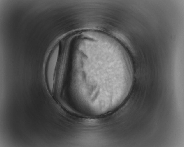 X0000088491180200706191419