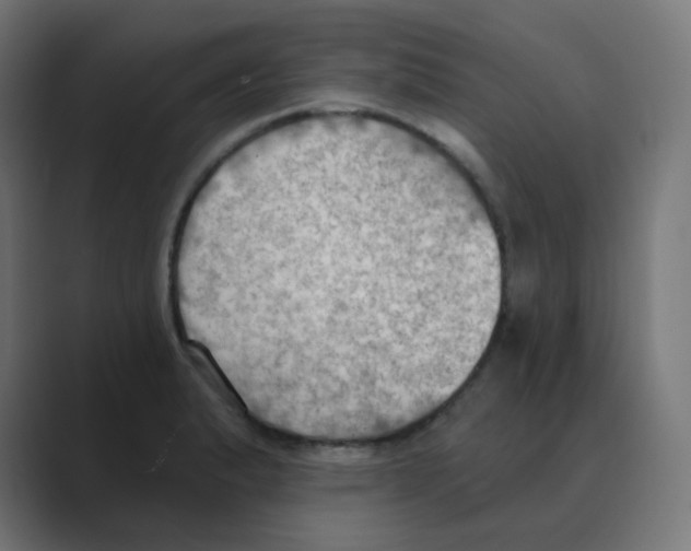 X0000088491183200706191419