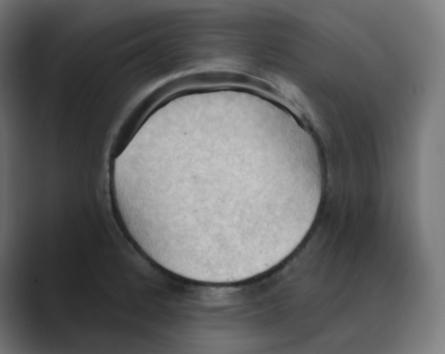 X0000088491184200706191419
