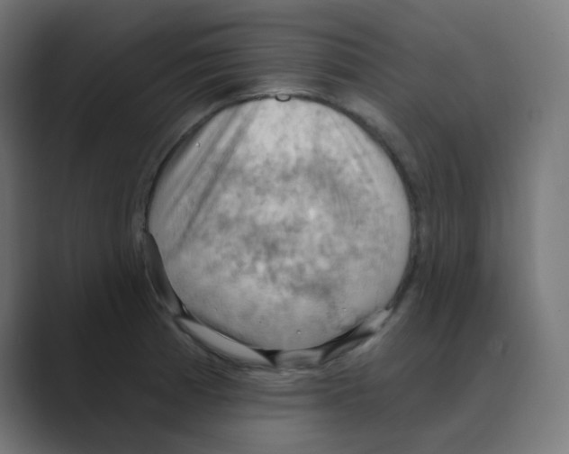 X0000088491185200706191419