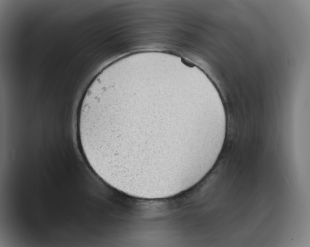 X0000088491187200706191419