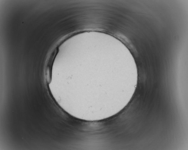 X0000088491188200706191419