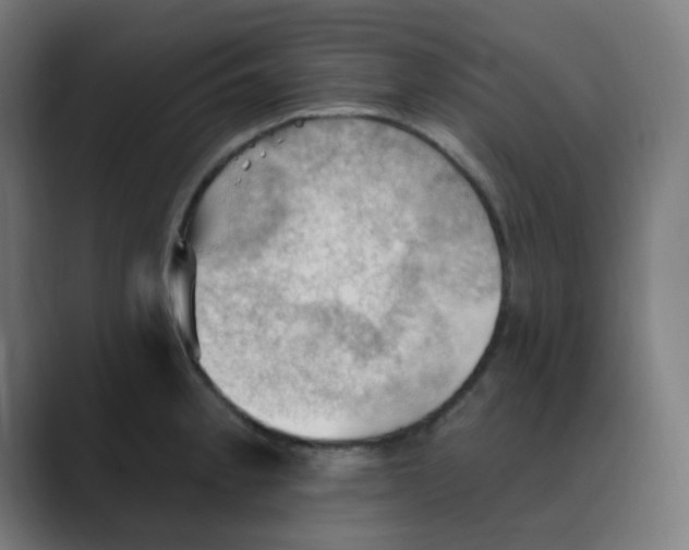 X0000088491189200706191419