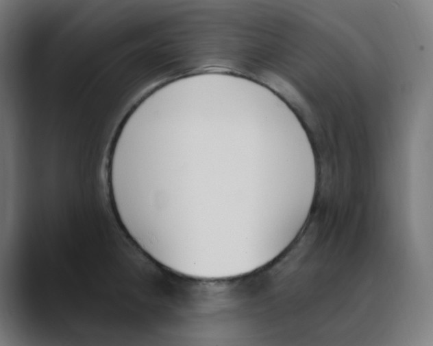 X0000088491190200706191419