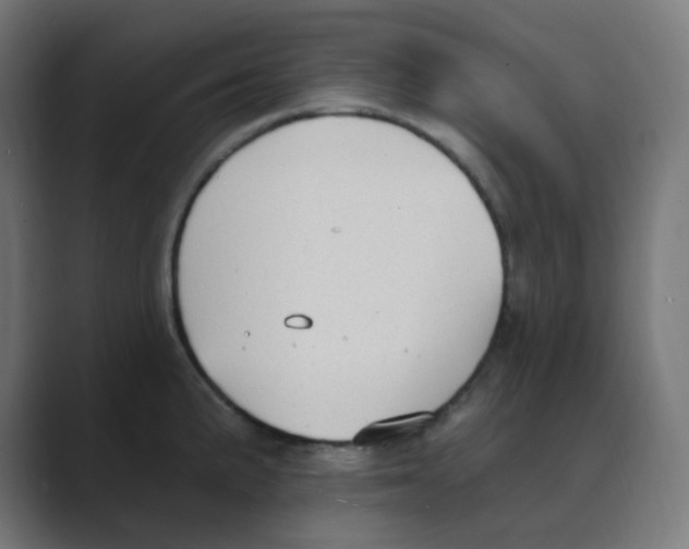X0000088491191200706191419