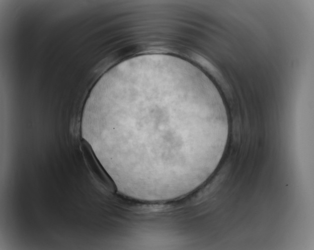 X0000088491193200706191419