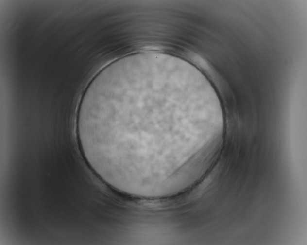 X0000088491194200706191419