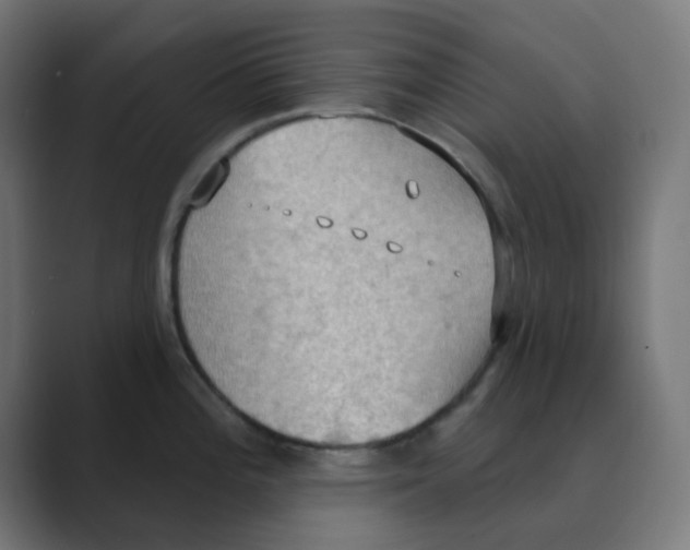 X0000088491196200706191419