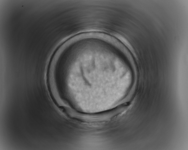 X0000088491197200706191419