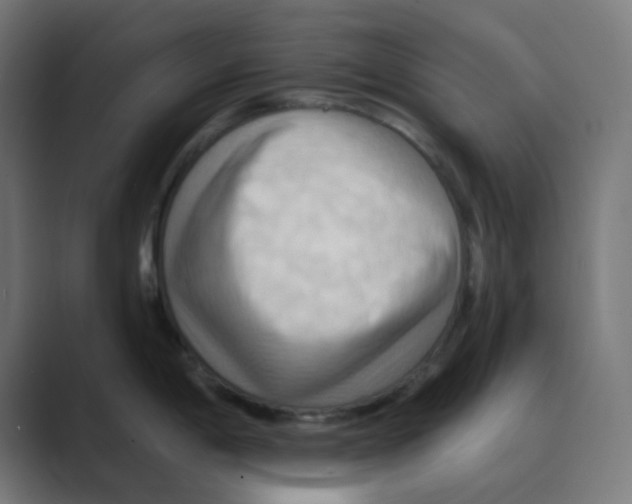 X0000088491198200706191419
