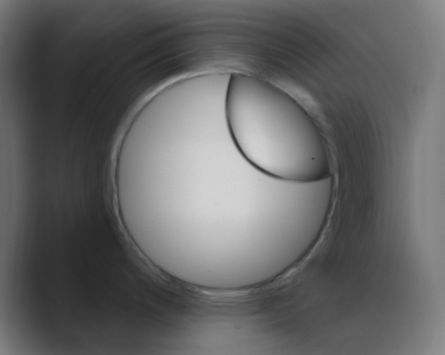 X0000088491200200706191419