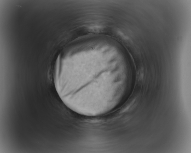 X0000088491202200706191418