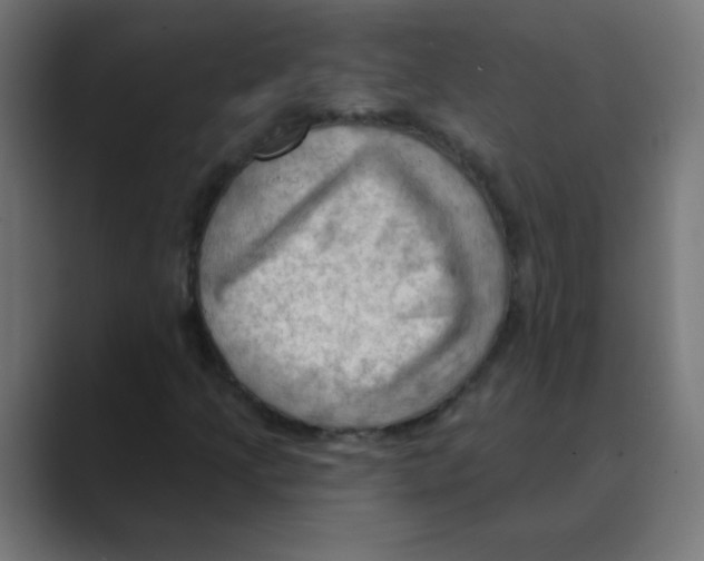 X0000088491205200706191418