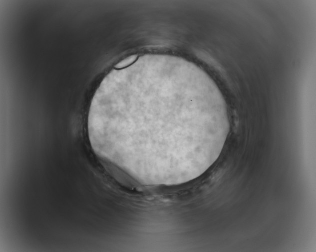 X0000088491208200706191418