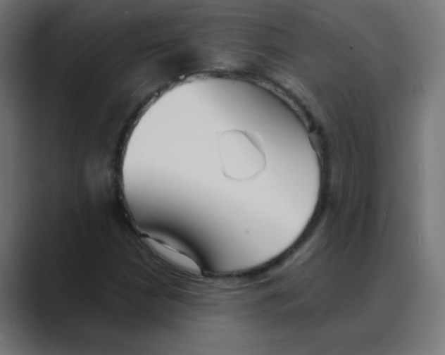 X0000088491210200706191418