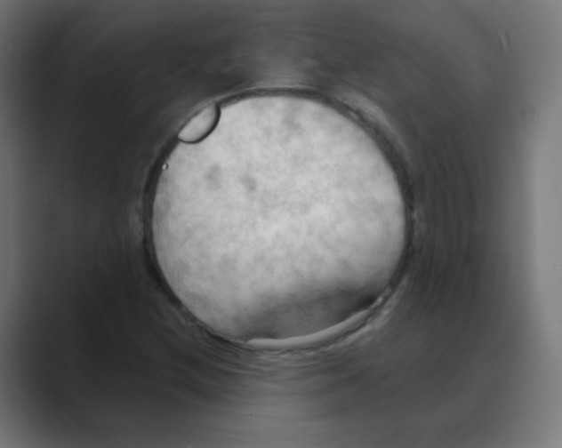 X0000088491212200706191418