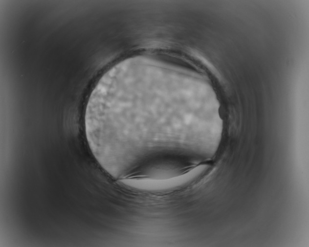 X0000088491213200706191418
