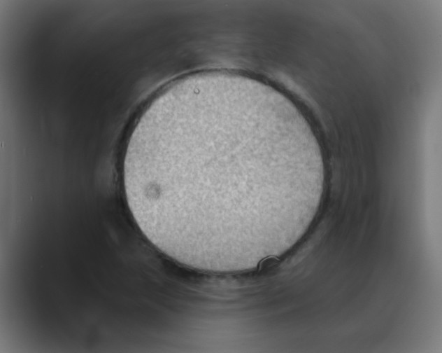 X0000088491215200706191418