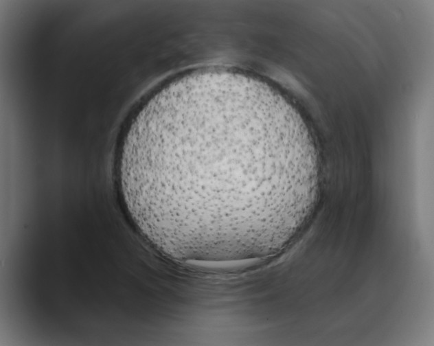 X0000088491216200706191418