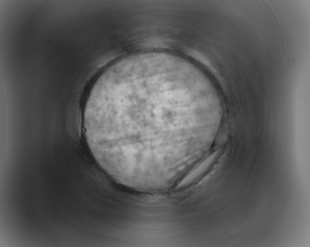 X0000088491219200706191418