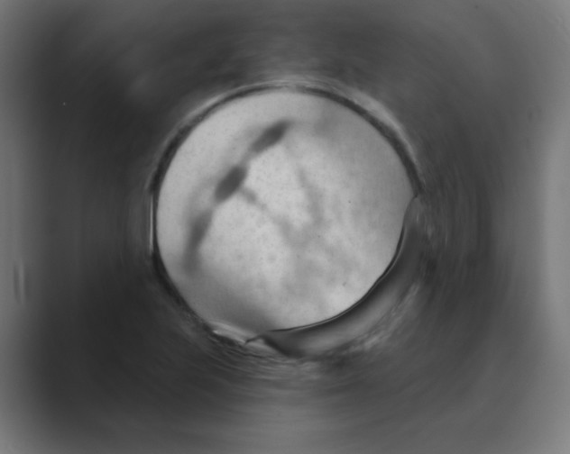 X0000088491223200706191418