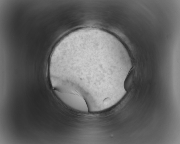 X0000088491224200706191418