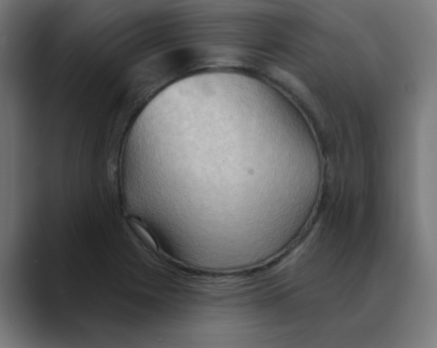 X0000088491225200706191418