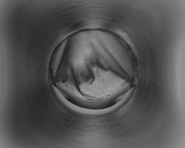 X0000088491226200706191418
