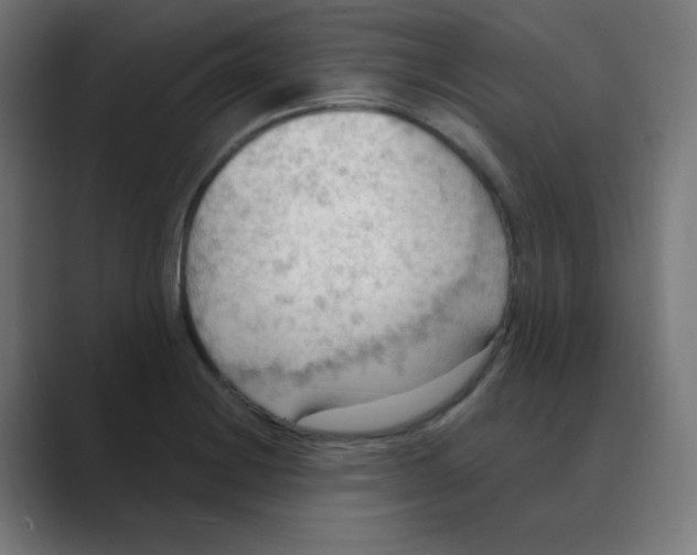 X0000088491228200706191418