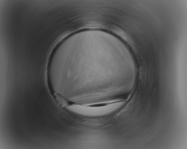 X0000088491229200706191418