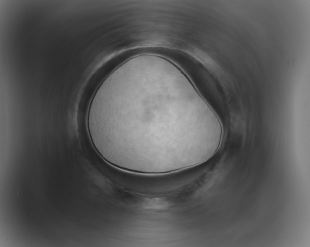 X0000088491230200706191418
