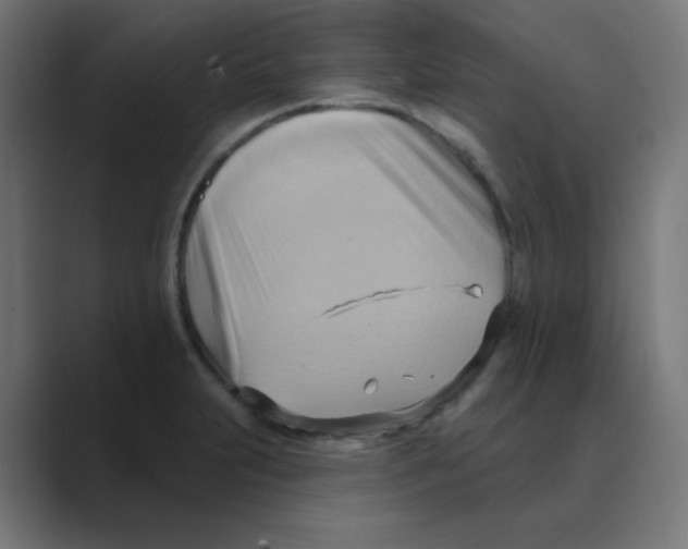X0000088491231200706191418