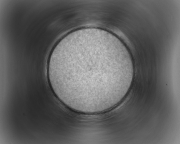 X0000088491232200706191418