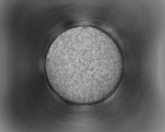 X0000088491233200706191418