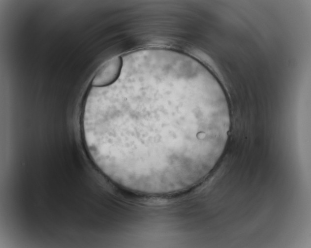 X0000088491235200706191419