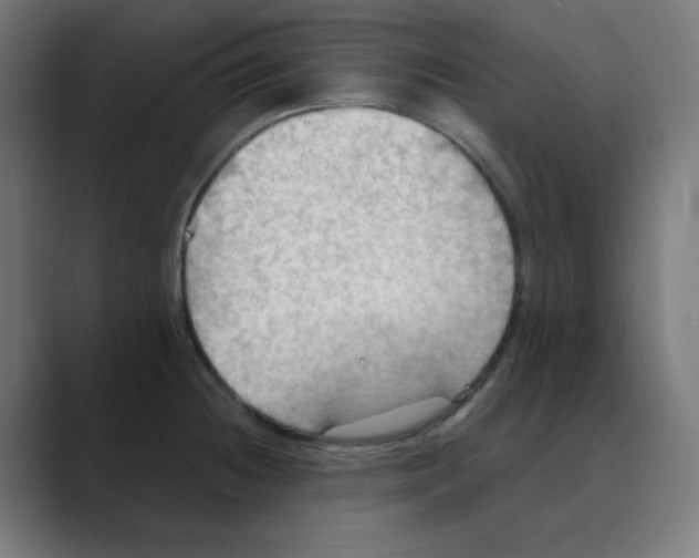 X0000088491236200706191419