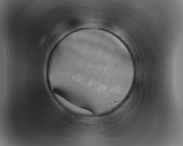 X0000088491237200706191419