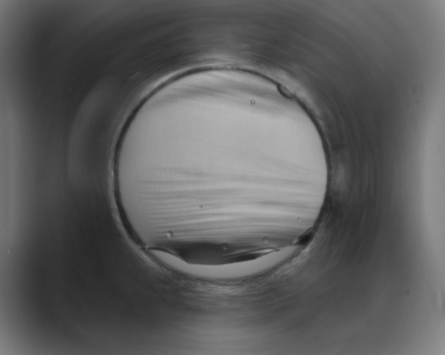 X0000088491239200706191419