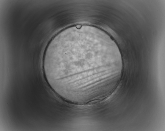 X0000088491240200706191419