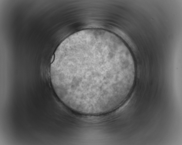 X0000088491241200706191419