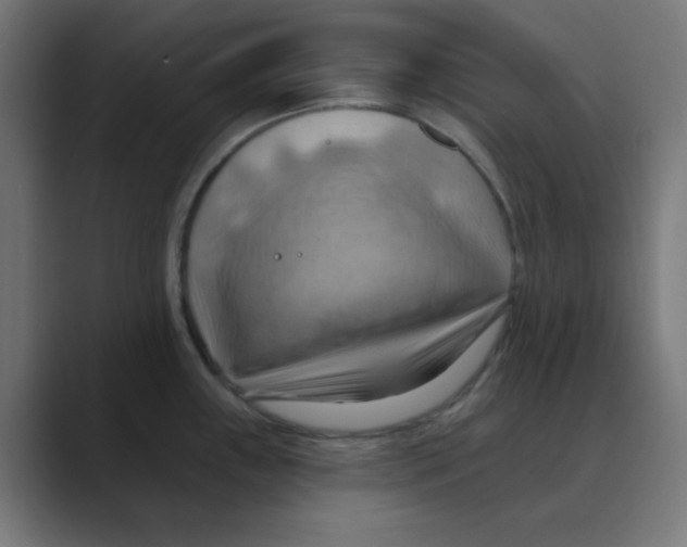 X0000088491243200706191419