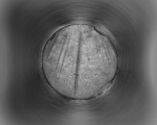 X0000088491244200706191419
