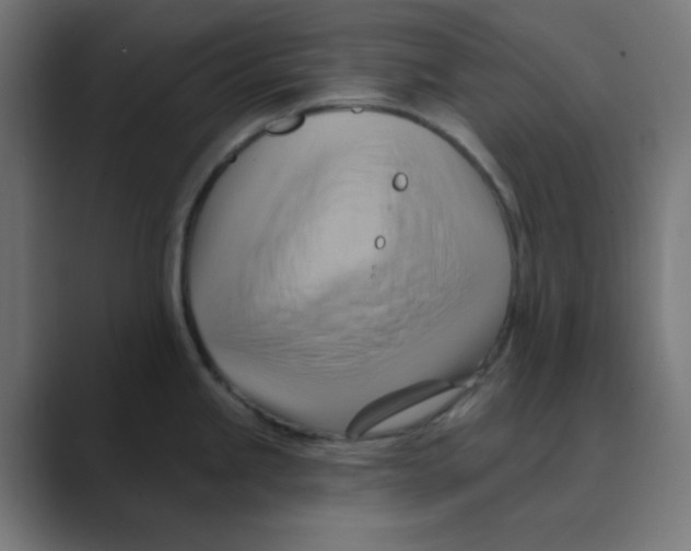 X0000088491245200706191419