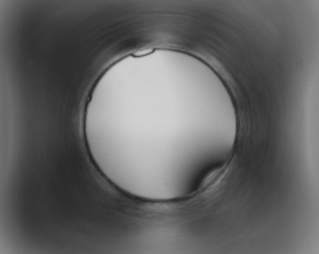 X0000088491246200706191419
