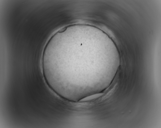 X0000088491247200706191419