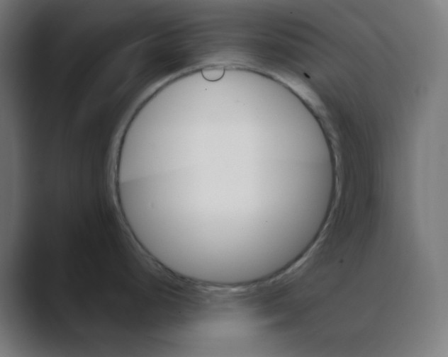 X0000088491248200706191419