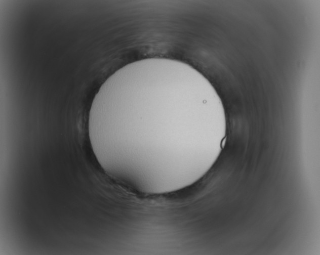 X0000088491250200706191418
