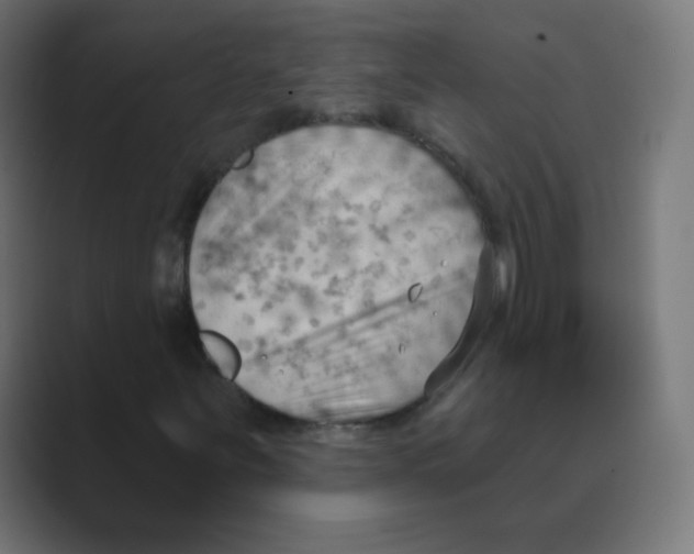 X0000088491251200706191418